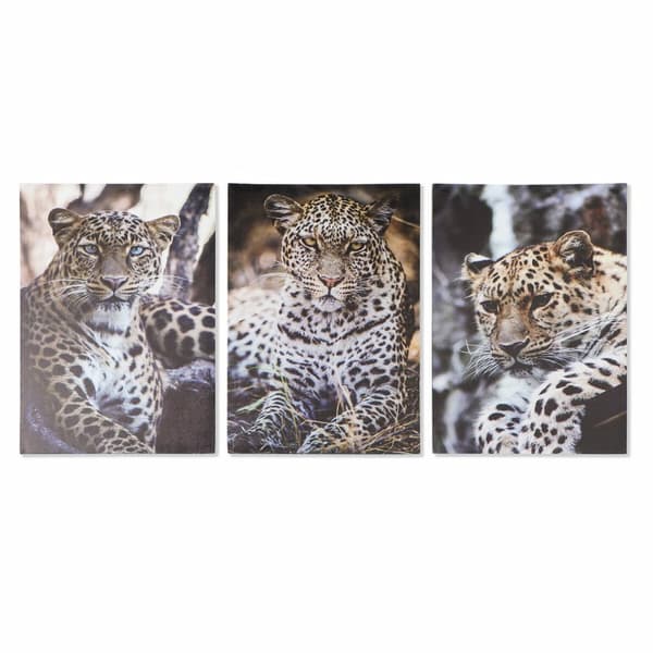 Maalaus DKD Home Decor Leopardi Siirtomaatyylinen (50 x 1,8 x 70 cm)