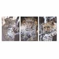 Pikkukuva 1 / 2: Maalaus DKD Home Decor Leopardi Siirtomaatyylinen (50 x 1,8 x 70 cm)