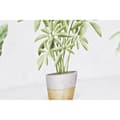 Pikkukuva 2 / 3: Maalaus DKD Home Decor Kasvi (90 x 2,3 x 30 cm) (90 x 1,5 x 30 cm) (2 osaa)