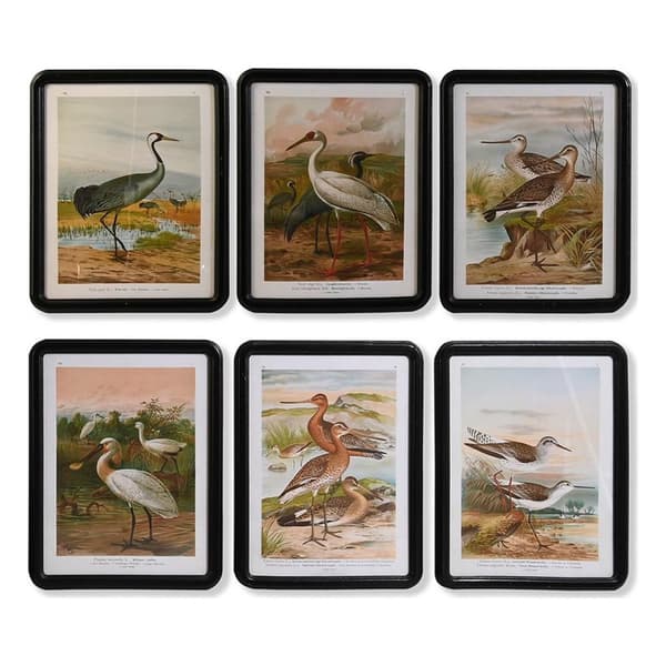Maalaus DKD Home Decor Kristalli Puu MDF Linnut (40 x 50 x 1,8 cm) (6 osaa)