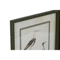 Pikkukuva 2 / 4: Maalaus Home ESPRIT Linnut Cottage 40 x 2,5 x 54 cm (6 osaa)