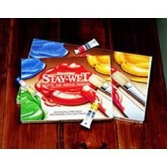 Daler Rowney Stay Wet Palette - Stor
