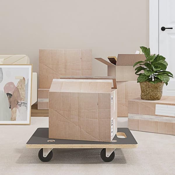 vidaXL Transporttraller 2 stk rektangulær 60x40x11,5 cm 250 kg