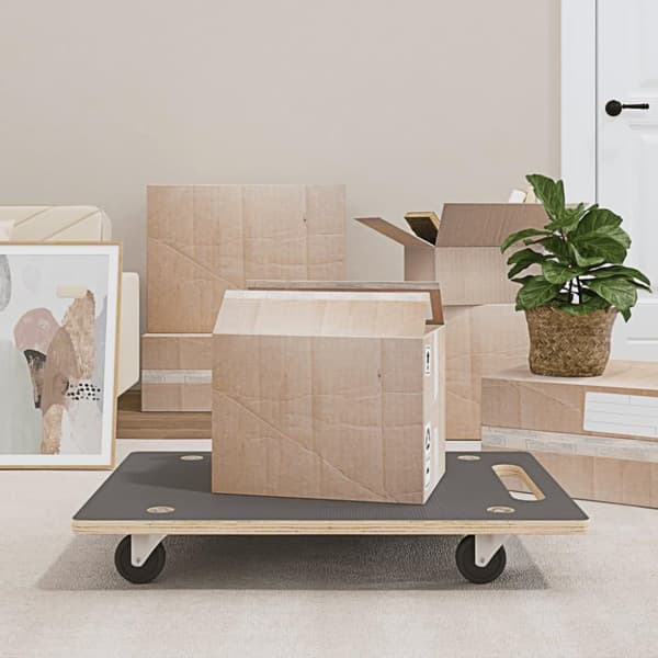 vidaXL Transporttraller 2 stk rektangulær 80x55x11,5 cm 250 kg
