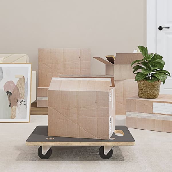 Paller & læsseplatforme - Living dollyvogne 2 stk. 60x40x11,5 cm rektangulær