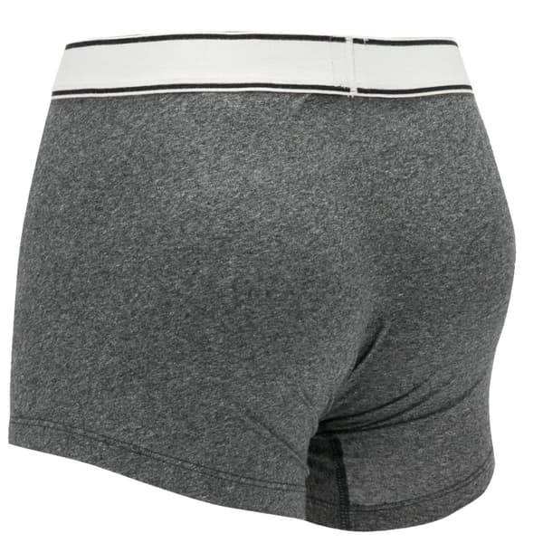 Levi's Boxer 2 Pairs Briefs 37149-0398, Man, Boxershorts, Grå