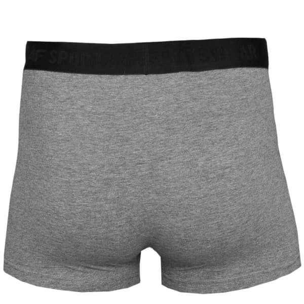 4F Men's Briefs H4L22-BIM350-90M, Man, Boxershorts, Grå