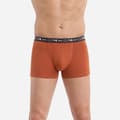 Miniatyrbild 4 av 4: Herrshorts - DIM - 3-pack - Stretchbomull - Elastisk midja - Optimal komfort