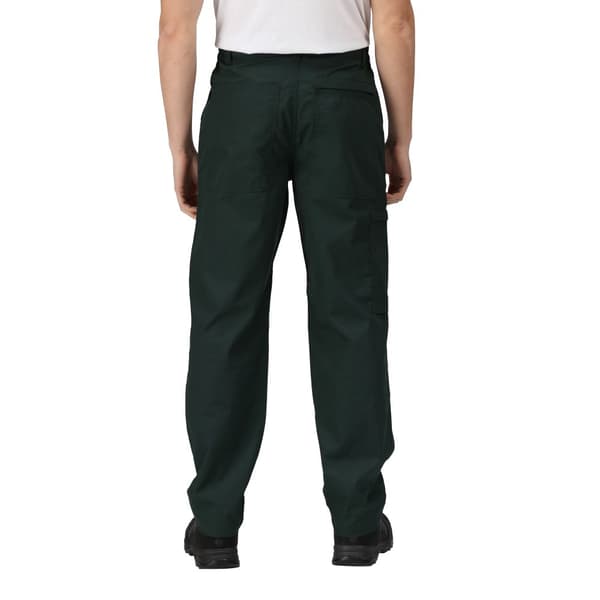 Regatta Mens New Action Trouser (Regular) / Pants