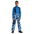 Miniatyrbillede 4 af 4: Dare 2B Childrens/Kids Pow Graffiti Ski Trousers