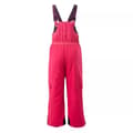 Miniatyrbilde 2 av 3: Bejo Girls Halvar Ski Trousers
