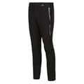 Pikkukuva 3 / 3: Regatta Mens Mountain III Hiking Trousers