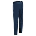 Pikkukuva 3 / 5: Regatta Mens Mountain III Hiking Trousers