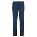 Pikkukuva 1 / 5: Regatta Mens Mountain III Hiking Trousers