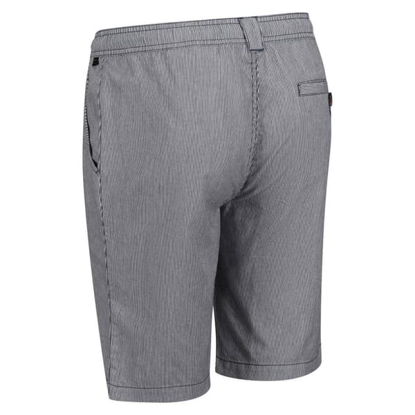 Regatta Shorts i Chino med rand för herrar Albie
