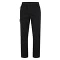 Miniatyrbilde 5 av 5: Dare 2B Mens Mountain Series Hiking Trousers