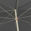 Pikkukuva 5 / 6: vidaXL Rantavarjo antrasiitti 300 cm