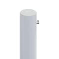 Miniatyrbilde 4 av 9: vidaXL Uttrekkbar sidemarkise 220x1000 cm kremhvit