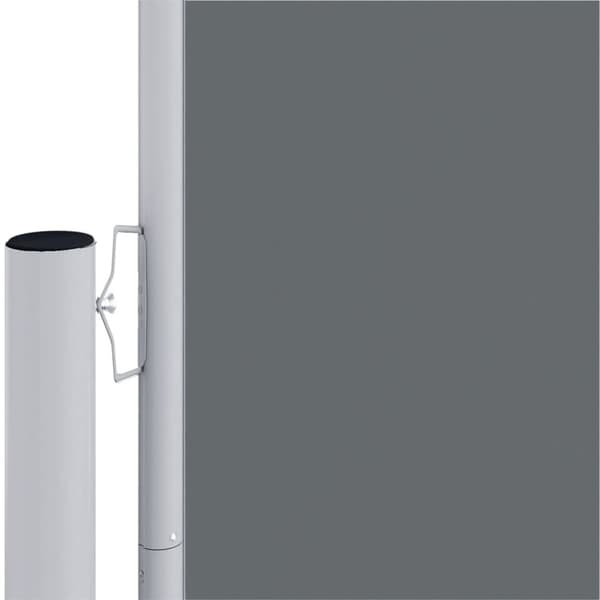 vidaXL Infällbar sidomarkis antracit 220x1000 cm