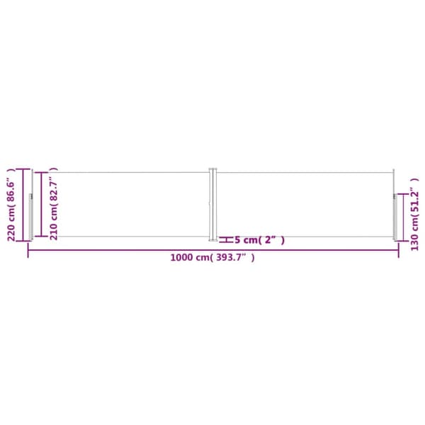 vidaXL Infällbar sidomarkis antracit 220x1000 cm
