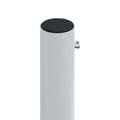 Miniatyrbilde 6 av 9: vidaXL Uttrekkbar sidemarkise svart 117x1200 cm