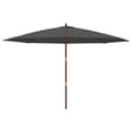 Miniatyrbillede 3 af 8: haveparasol med træstang 400x273 cm antracitgrå