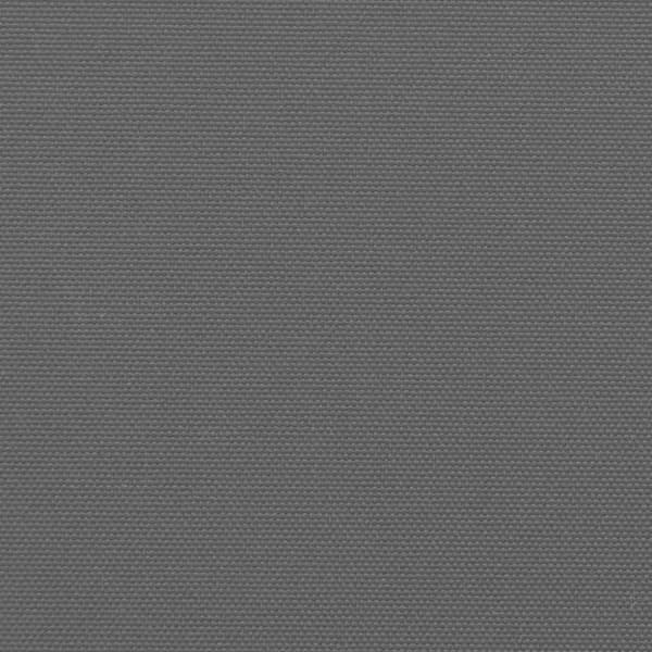 vidaXL Indragbar sidomarkis antracit 160x500 cm