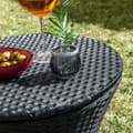 Miniatyrbild 3 av 11: Kylbord för Trädgården 3-i-1 Frizzble InnovaGoods