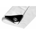 Miniatyrbillede 1 af 2: Markise EDM 74999 Hvid 90 g/m² 5 x 8 m Dobbeltsidet
