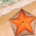 Miniatyrbild 6 av 7: Napernyő Aktive 180 x 210 x 180 cm 180 x 215 x 180 cm (6 antal)