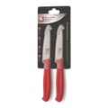 Pikkukuva 1 / 2: Richardson Sheffield Paring Knife 2-osainen ruostumaton teräs/punainen