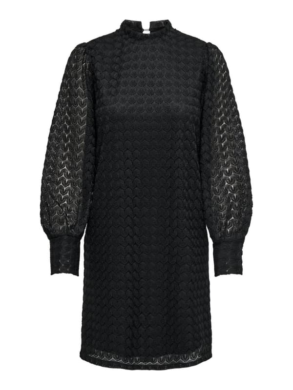 Jacqueline - jdyAvery LS Highneck Lace Dress