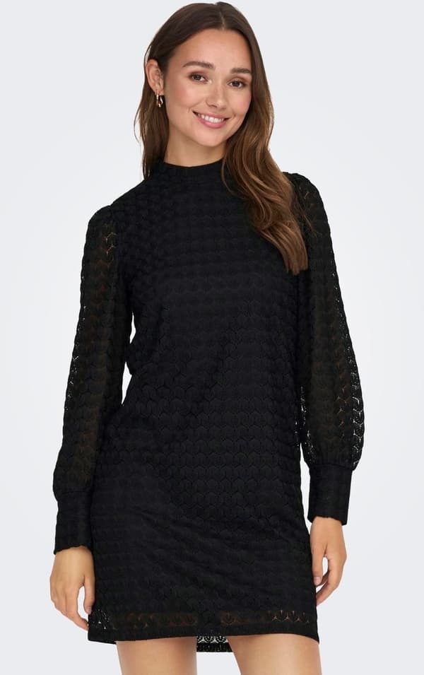 Jacqueline - jdyAvery LS Highneck Lace Dress