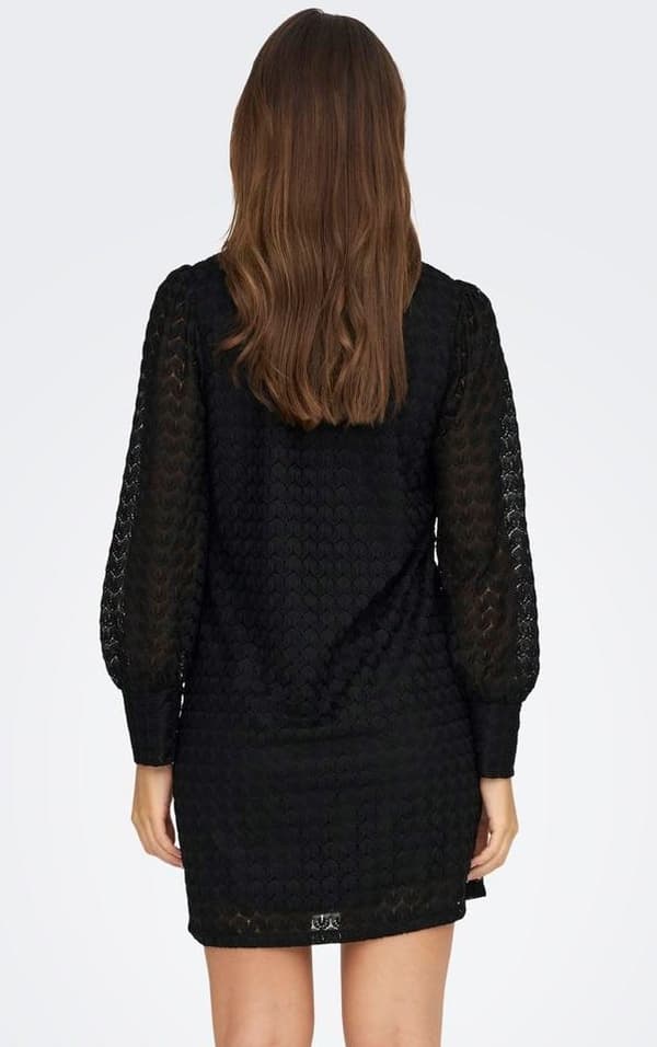 Jacqueline - jdyAvery LS Highneck Lace Dress