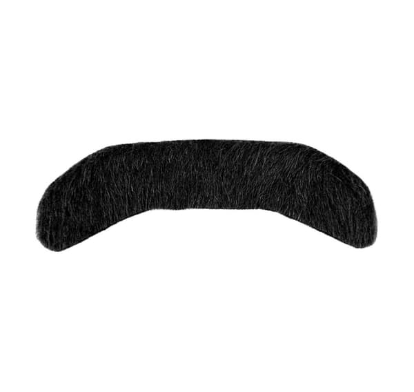 Mustasch sir