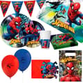 Miniatyrbillede 1 af 3: Sæt med Produkter til Fest Spider-Man 66 Dele