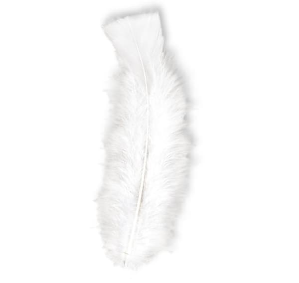 Höyhenet valkoiset 10 cm, 50 kpl