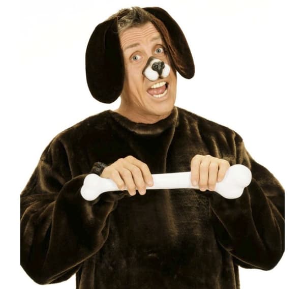 Pandebånd til hundeører