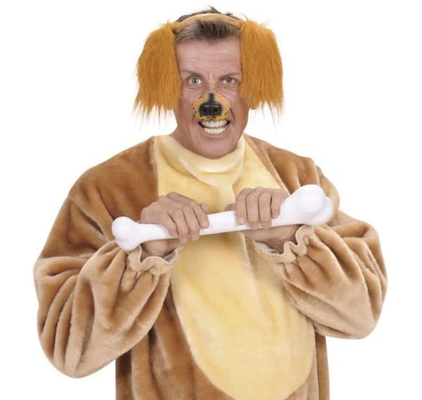 Pannebånd (hund)