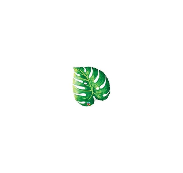 Jr.Shape' Tropical Philodendron