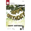 Miniatyrbild 1 av 2: Folieballonger "HAPPY BIRTHDAY", guld, 40cm, storlek per bokstav, tab-bag 13st - {color}