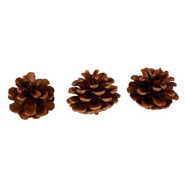 Kotte 5,5 cm 3 stycken