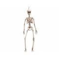 Miniatyrbillede 2 af 2: Halloween dekorationer My Other Me 120 cm Skelet