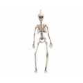 Miniatyrbillede 1 af 2: Halloween dekorationer My Other Me 120 cm Skelet