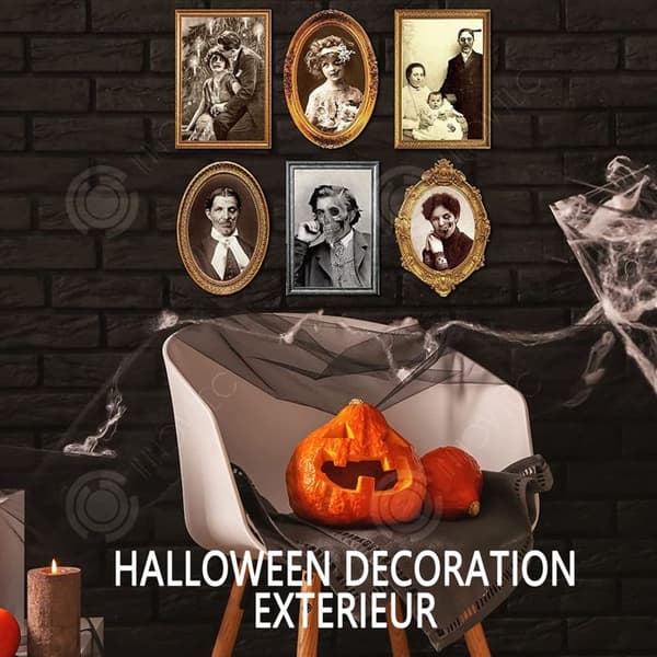 INN Halloween 6 stycken 26 x 18 cm halloween skrämmande dekoration inomhusporträtt förändras ansikte 3D skräckfotoram ha