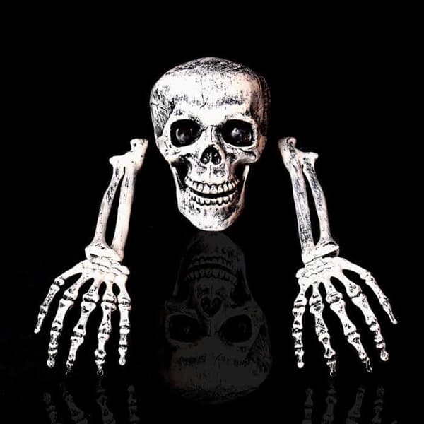 Hemsk Halloween skalldekoration Halloween rekvisita
