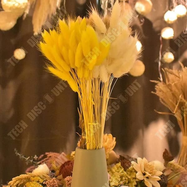 TD® Naturlig och original färg Torkade blommor Riktiga blombukett Heminredning Kaninsvans 50 stycken