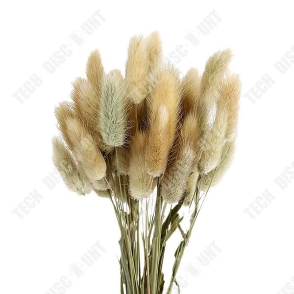 TD® Naturlig och original färg Torkade blommor Riktiga blombukett Heminredning Kaninsvans 50 stycken