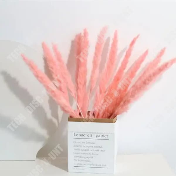 TD® torkade blommor i naturliga primärfärger Pink Bunny Tail Heminredningspaket med 15