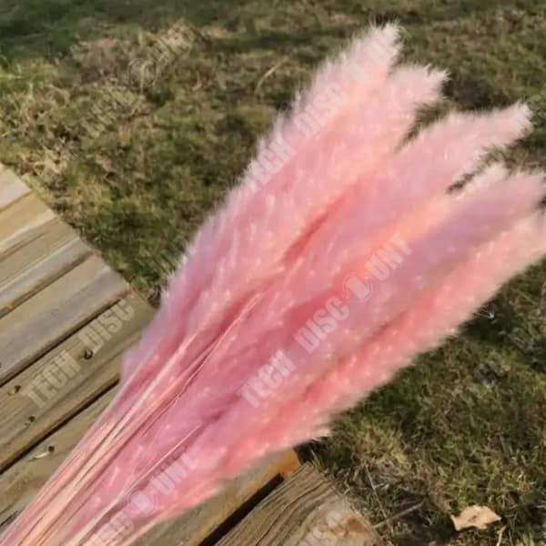 TD® torkade blommor i naturliga primärfärger Pink Bunny Tail Heminredningspaket med 15
